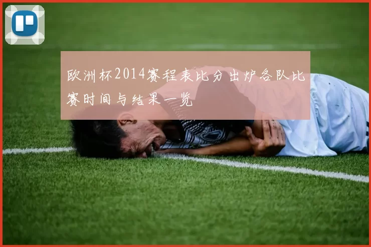 欧洲杯2014赛程表比分出炉各队比赛时间与结果一览