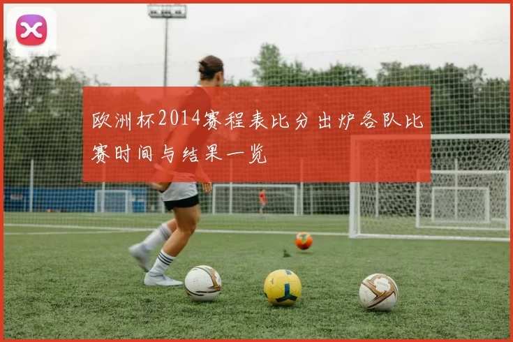 欧洲杯2014赛程表比分出炉各队比赛时间与结果一览